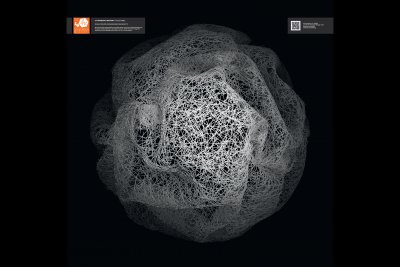 Cytoskeletal Network Cytoskeletal Network