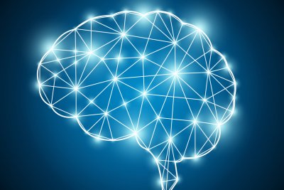 Brain-Network