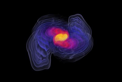 neutron-merger