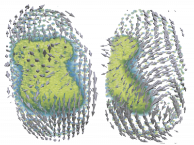 PIV Image Processing