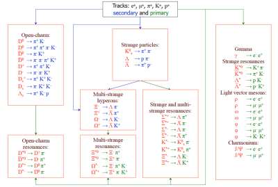 Particle Finder