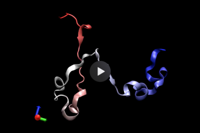 Folding mechanism of a knotted protein (pdb: 2efv) Folding mechanism of a knotted protein (pdb: 2efv)
