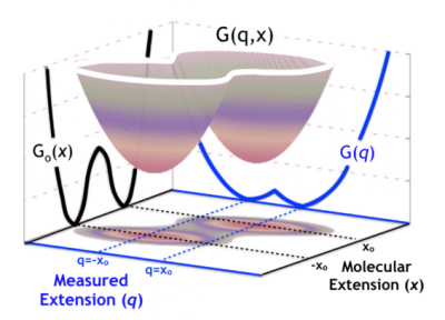 Reproduced from Covino et al. – Journal of Chemical Physics 151 154115 (2019).