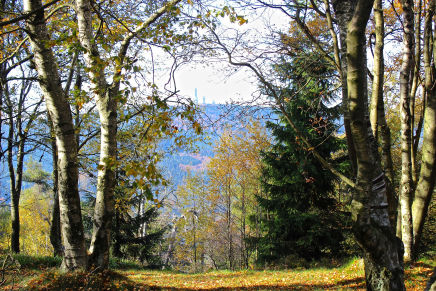 Taunus Taunus