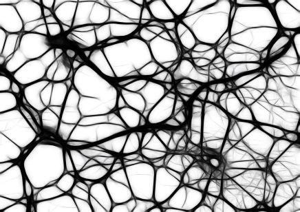 Neurons Neurons